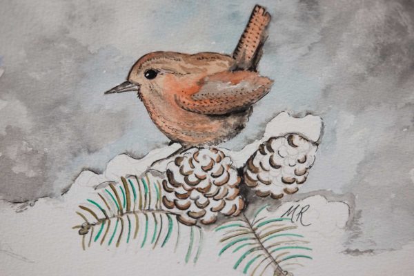 Winter Wren Original Watercolour