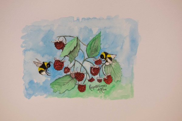 Raspberries - Original Watercolour