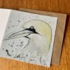 Gannet Card by Mike Ross