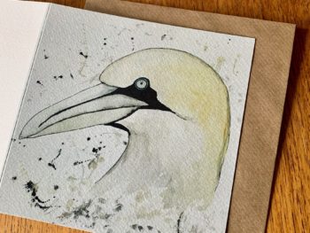 Gannet Card by Mike Ross