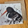 Oyster Catcher Card by Mike Ross