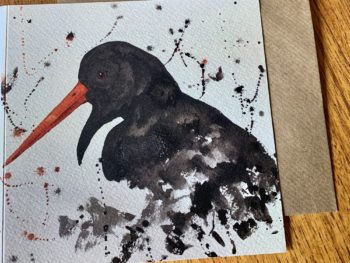 Oyster Catcher Card by Mike Ross