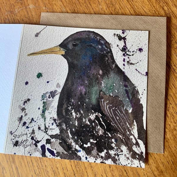 Starling Card by Mike Ross