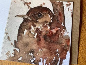 Wren Bird Card by Mike Ross
