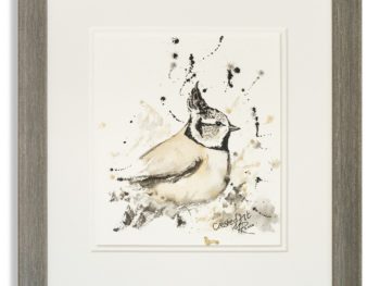 Watercolour of Crested Tit by Scottish Artist Mike Ross