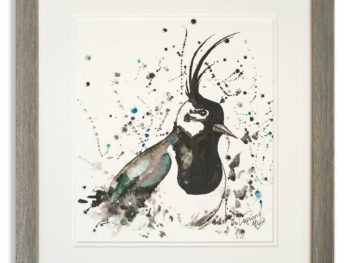 Watercolour of Lapwing by Scottish Artist Mike Ross