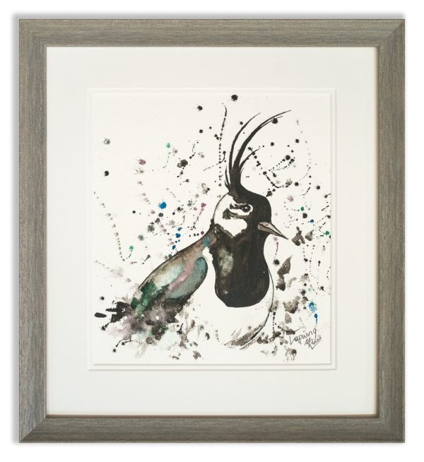 Watercolour of Lapwing by Scottish Artist Mike Ross